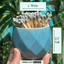 Geometric Match Holders with Matches - 6 Colors