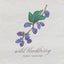Wild Blackberry - Men's Tee - Oatmeal