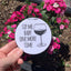 Sip Me Baby One More Time - Coasters - CLOSEOUT SALE