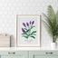 Lavender - Watercolor Art Print