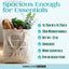 Trust Me, Arma Big Deal - Canvas Tote Bags