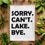 Sorry. Can't. Lake. Bye. - Dish Towels - White or Gray