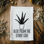 Aloe From The Other Side - Dish Towels - CLOSEOUT SALE
