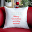 Merry Christmas Ya Filthy Animal - Funny Holiday Throw Pillow