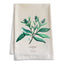 Sage - Watercolor Floral Dish Towels - Botanical, Herbs